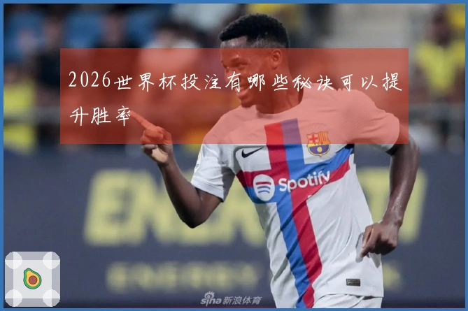2026世界杯投注有哪些秘诀可以提升胜率