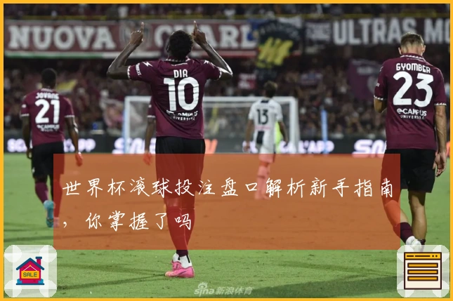 世界杯滚球投注盘口解析新手指南，你掌握了吗