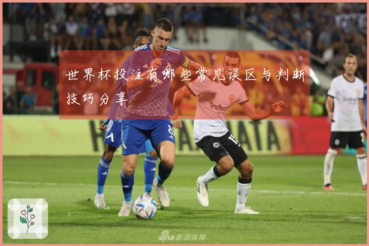 世界杯投注有哪些常见误区与判断技巧分享
