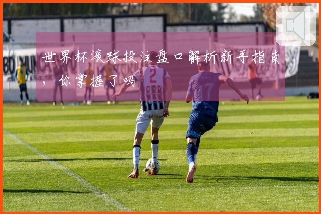 世界杯滚球投注盘口解析新手指南，你掌握了吗